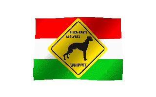 Tisza-parti Szélvész whippets logo flag